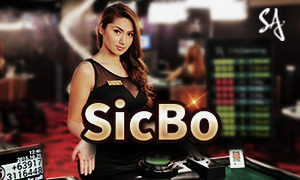 55bet bac bo cassino Jogue online