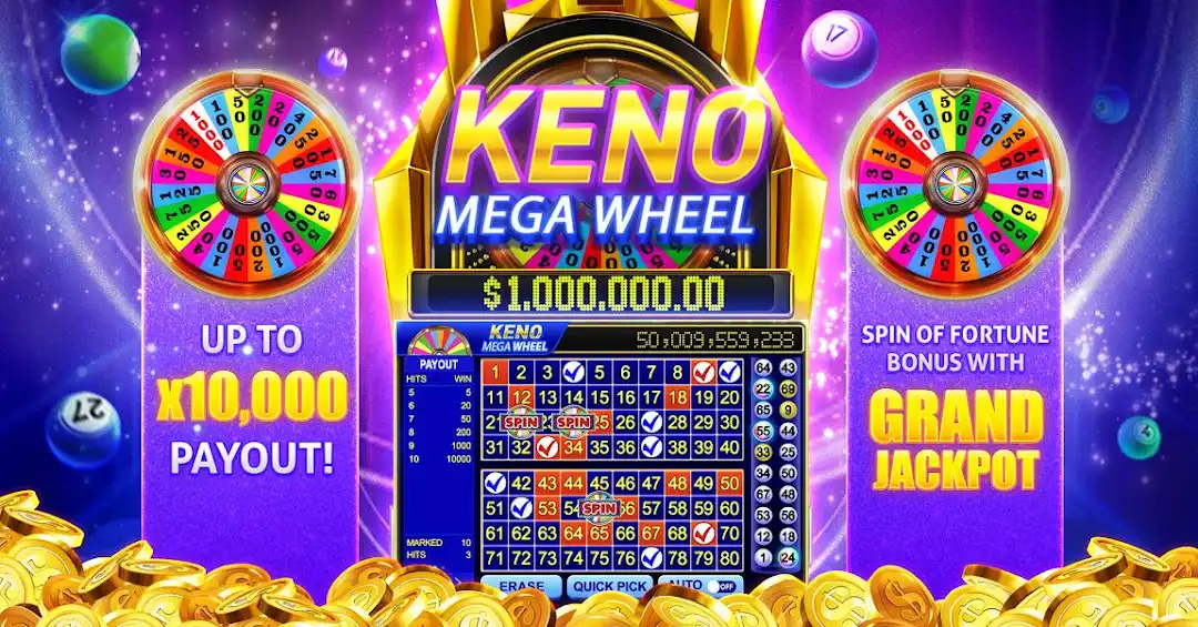 55bet 4play bet cassino Android