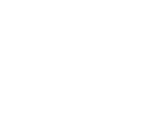 55bet